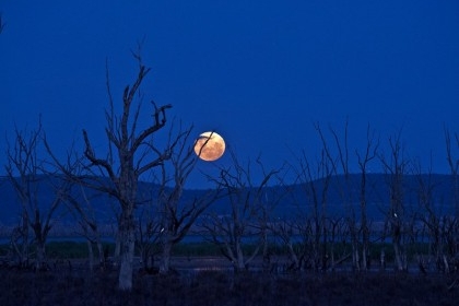 Winton Wetlands