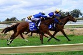 benalla-races #4