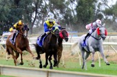 benalla-races #2